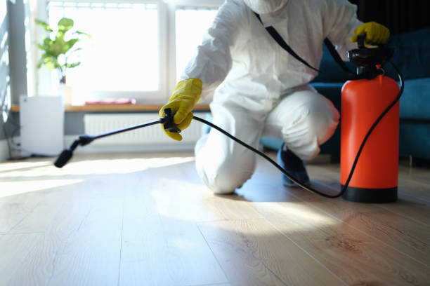 Reliable Odor Removal contractor in Pittsburg, NH by Trauma Clean Pros